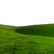 Травяное поле Png