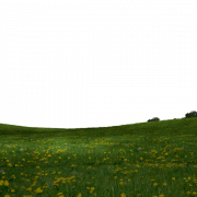 Grass Field PNG Free Download