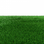 Grass Field PNG Picture
