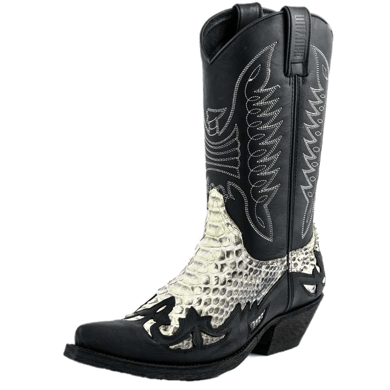 Leather Boot Transparent