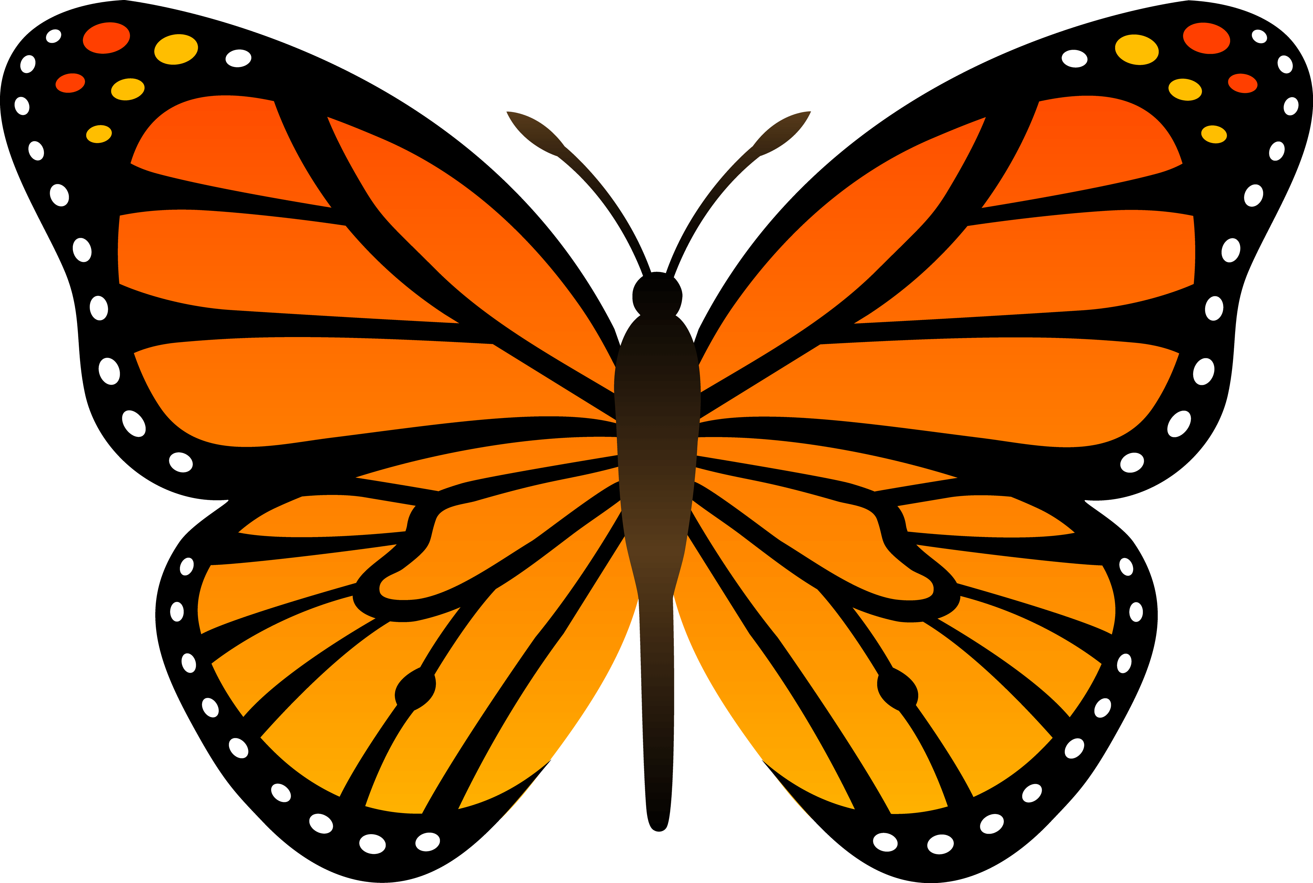 Monarch Butterfly PNG Download Image