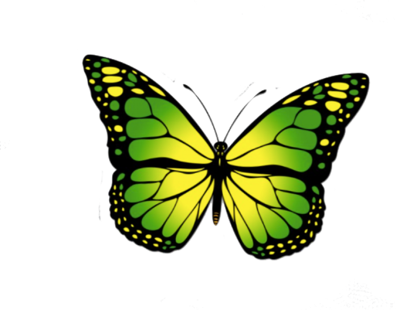 Monarch vlinder png gratis download