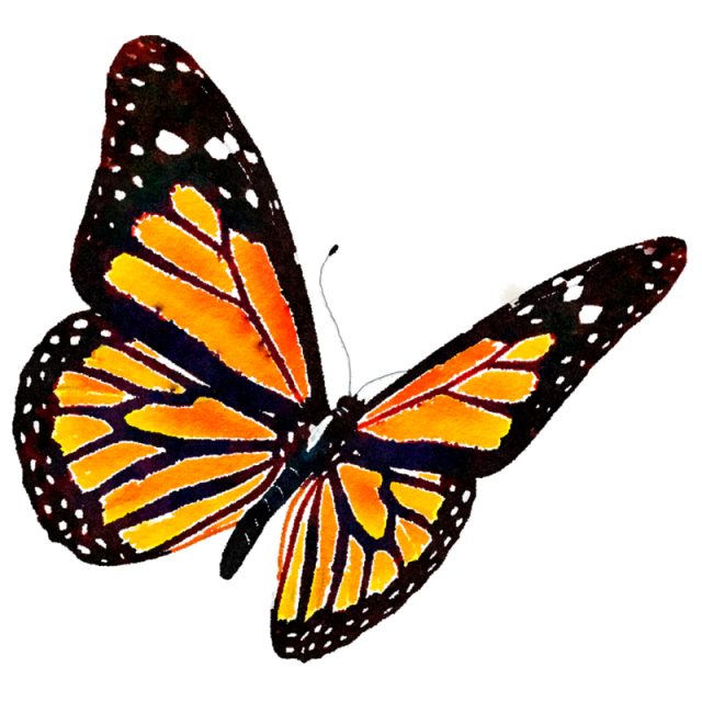 Monarch Butterfly PNG HD Image