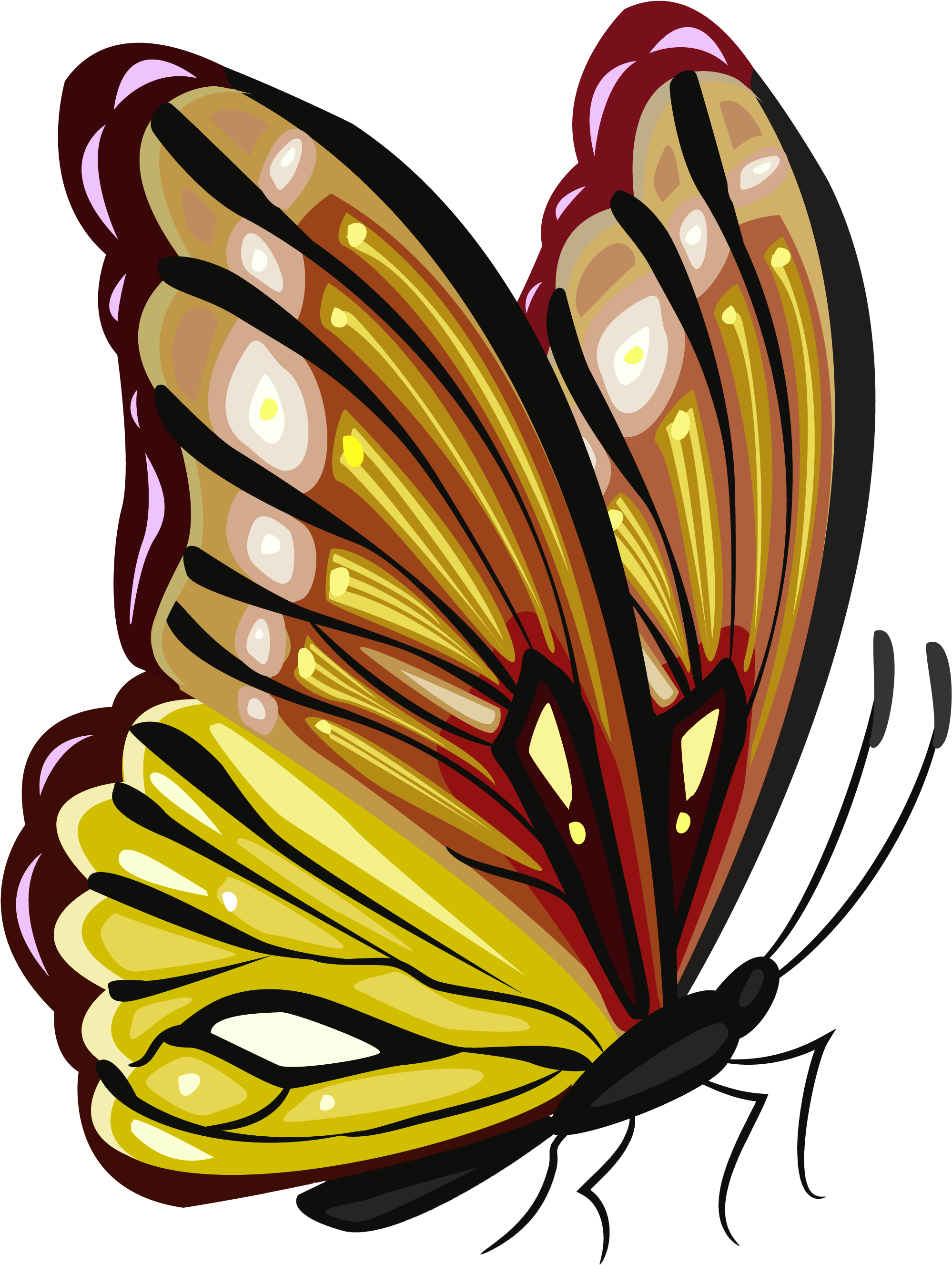 Monarch Butterfly PNG High Quality Image