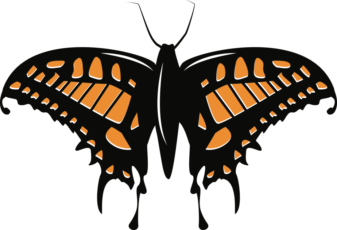 Monarch Butterfly PNG Picture