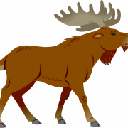 Moose PNG Clipart