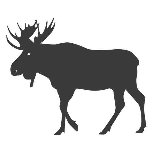 Moose PNG File