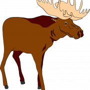 Moose PNG Image