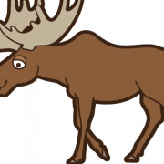 Moose PNG Picture