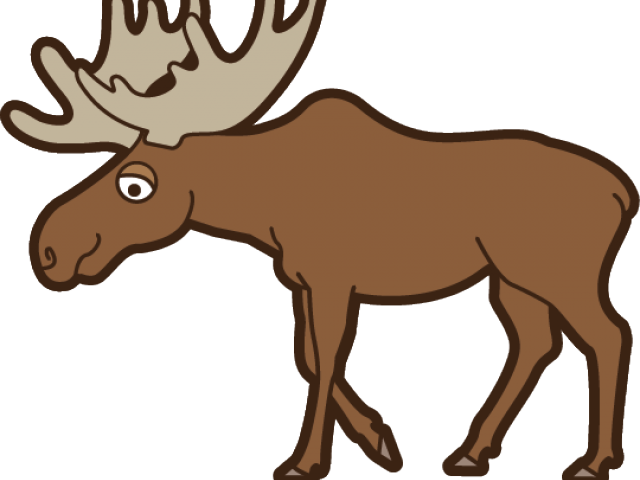 Moose PNG Picture