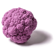 Purple Cauliflower Png бесплатное изображение