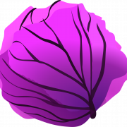 Image PNG de chou-fleur violet