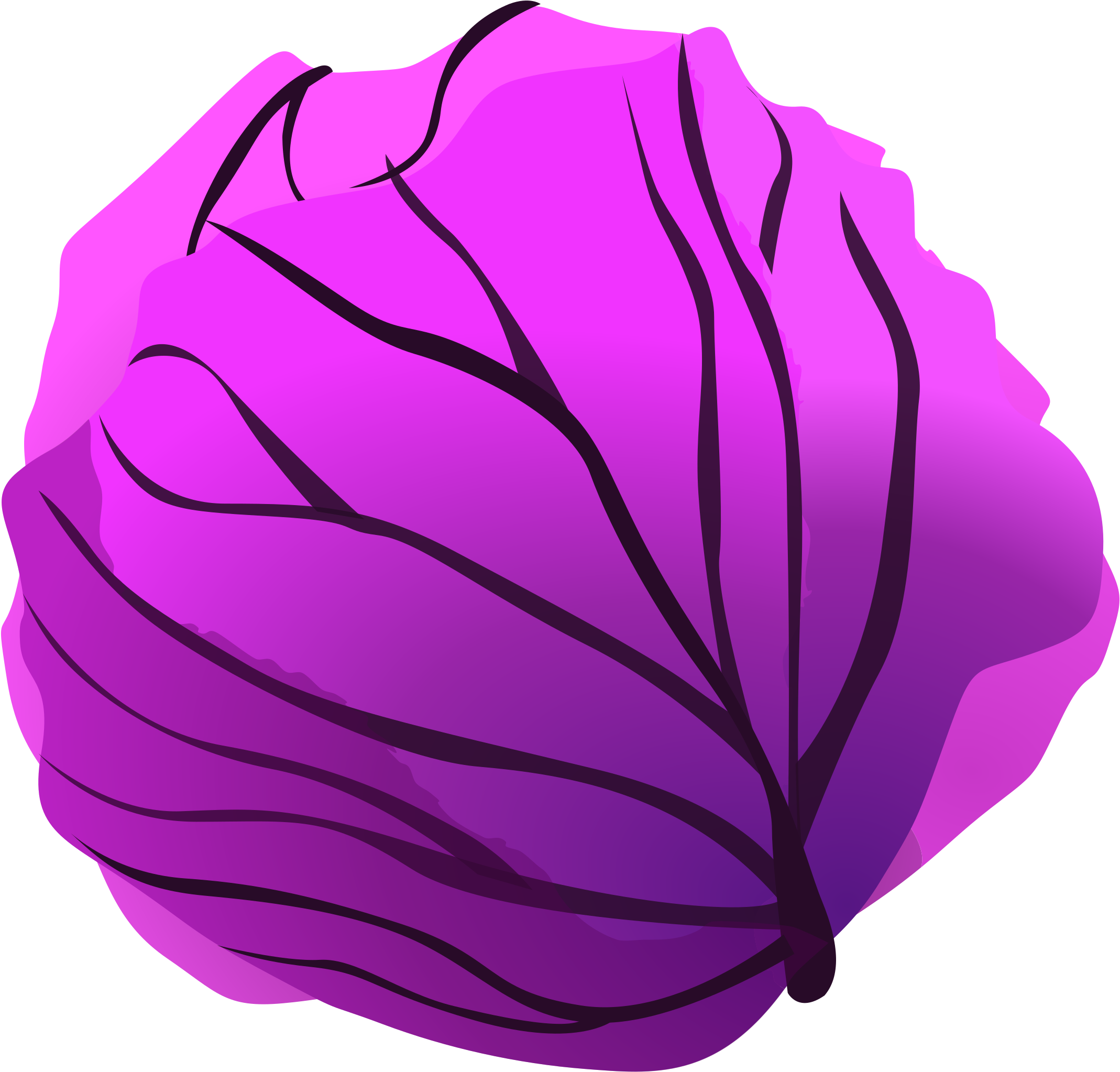 Purple Cauliflower PNG Image