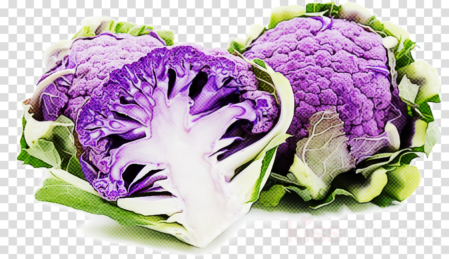 Purple Cauliflower PNG Picture