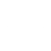 Rays PNG Image -Datei