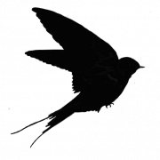 Silhouette Swallow PNG Image