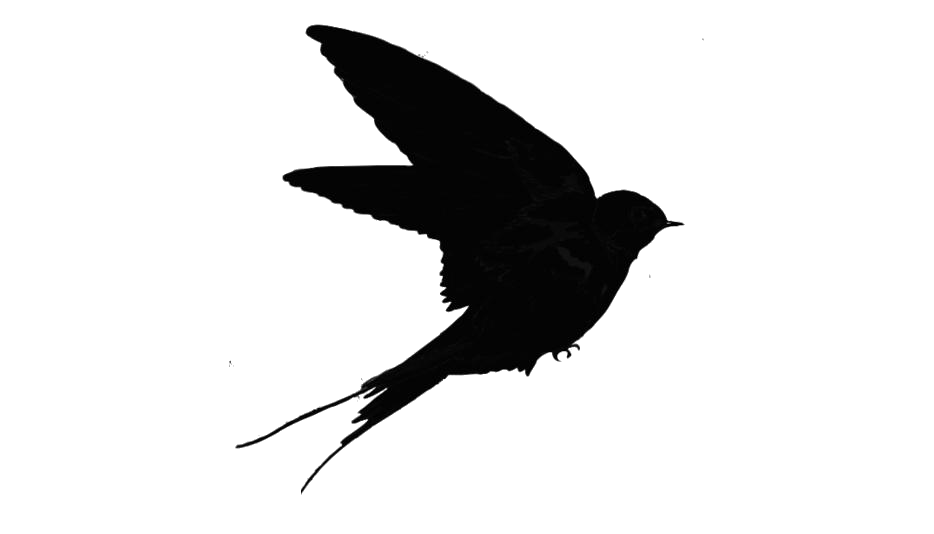 Silhouette Swallow PNG Image