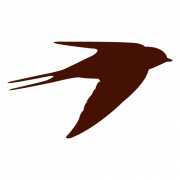 Silhouette Swallow PNG Pic