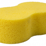 Sponge PNG Download Image