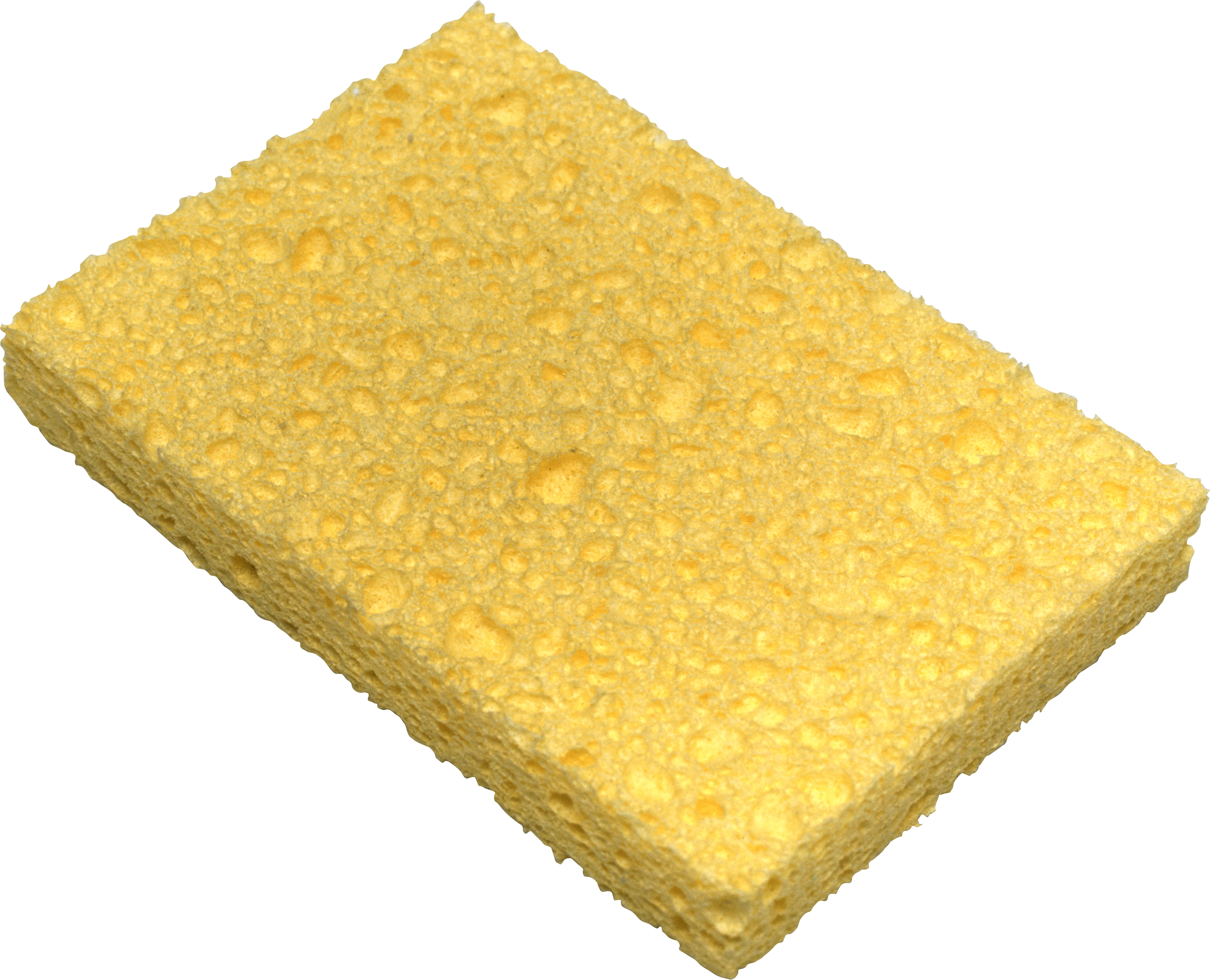 Sponge PNG File