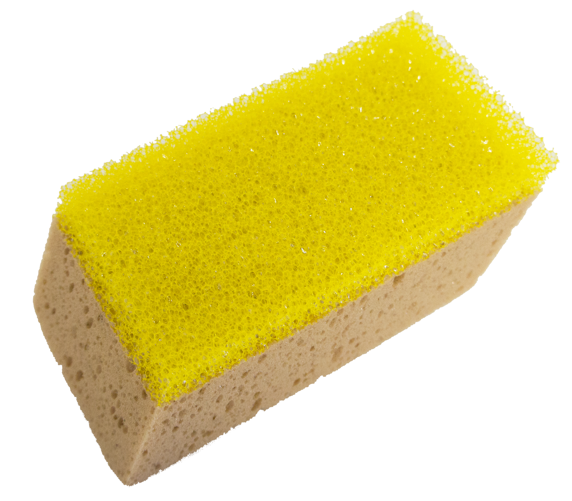 Sponge PNG Pic