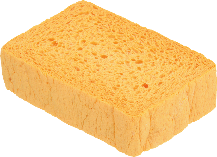 Sponge PNG