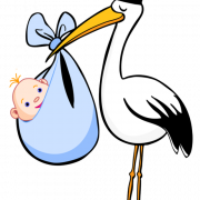 Stork Birth PNG File