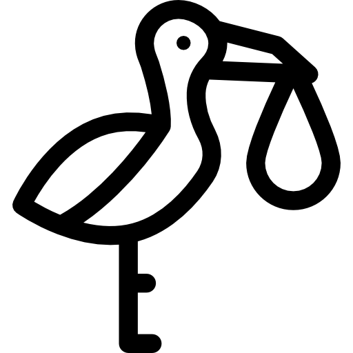 Stork Birth PNG Image