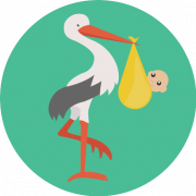Stork geboorte PNG foto