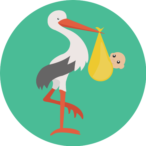 Stork Birth PNG Picture