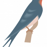 Swallow Bird PNG Clipart