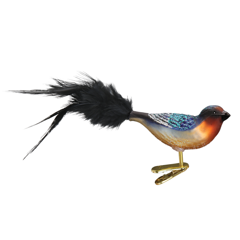 Swallow Bird PNG Image