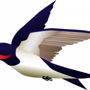 Swallow PNG Télécharger limage