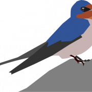 Swallow PNG File