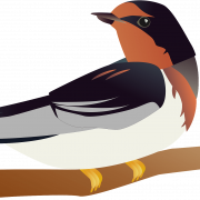 Swallow PNG High Quality Image