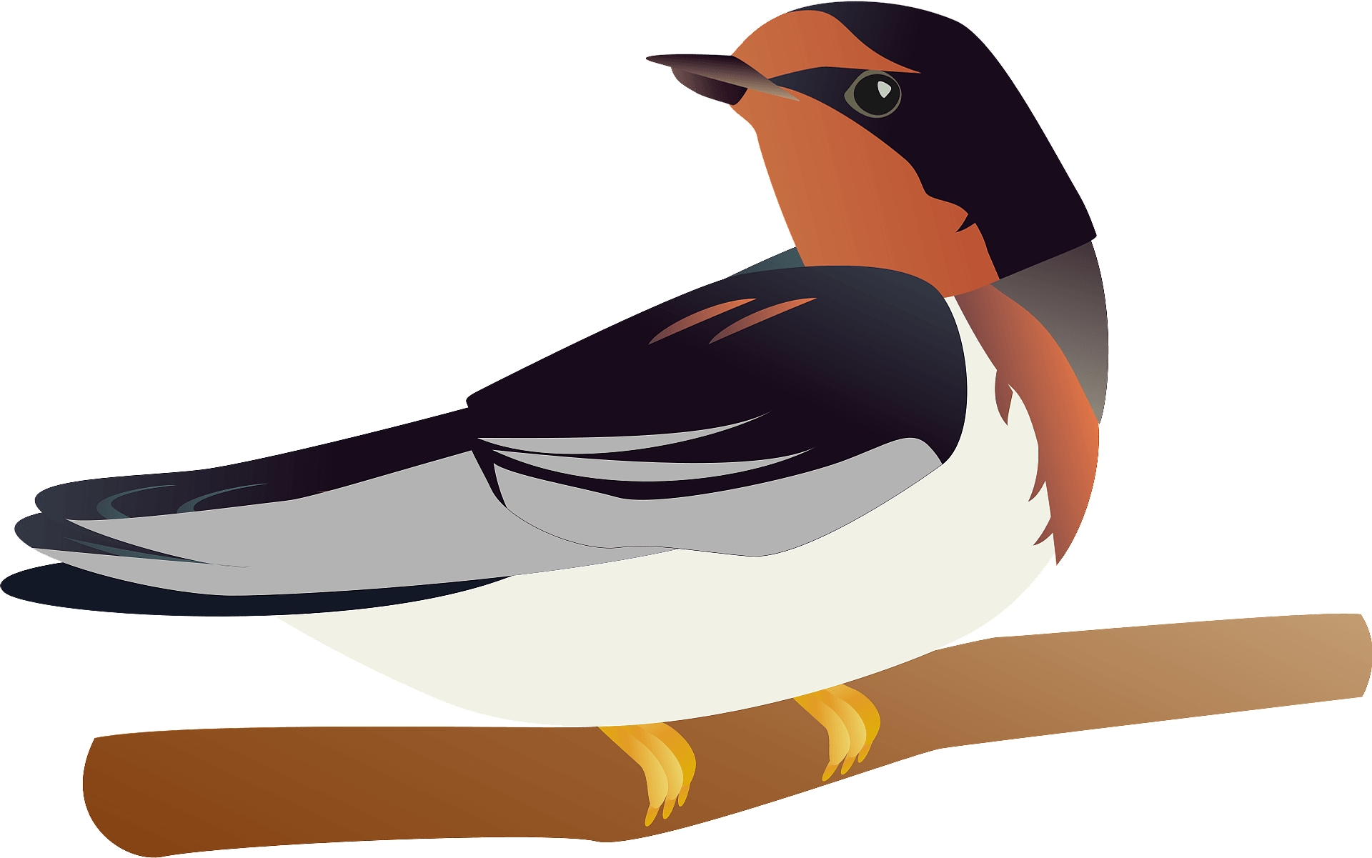 Swallow PNG High Quality Image