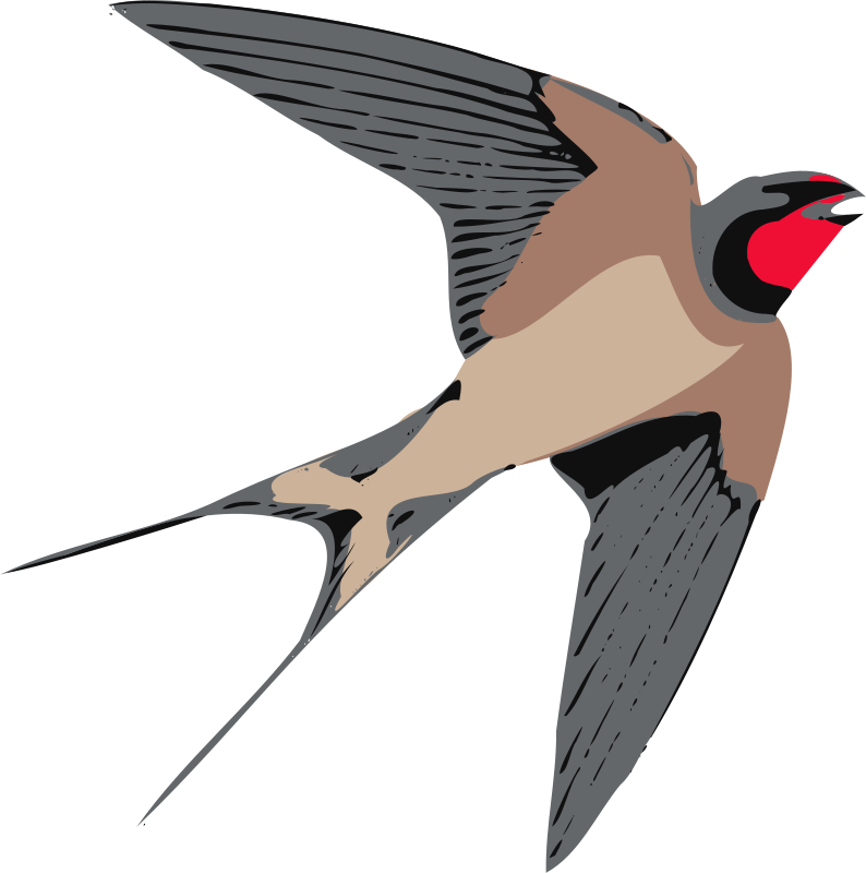 Swallow PNG Image File
