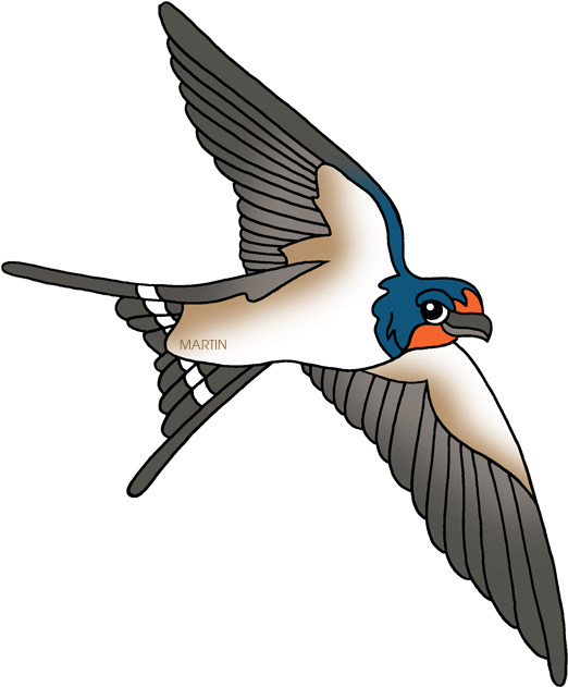 Swallow PNG Picture
