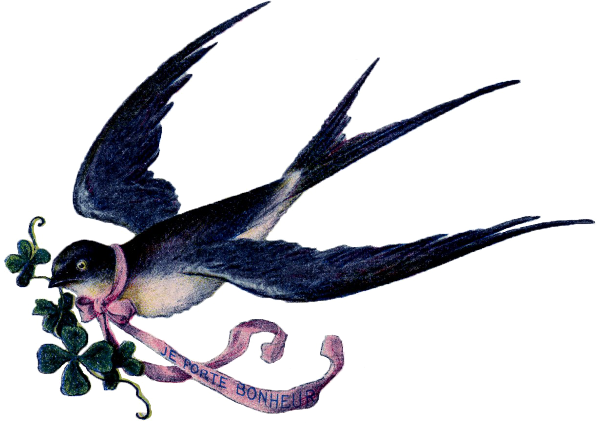 Swallow Tattoo PNG Image