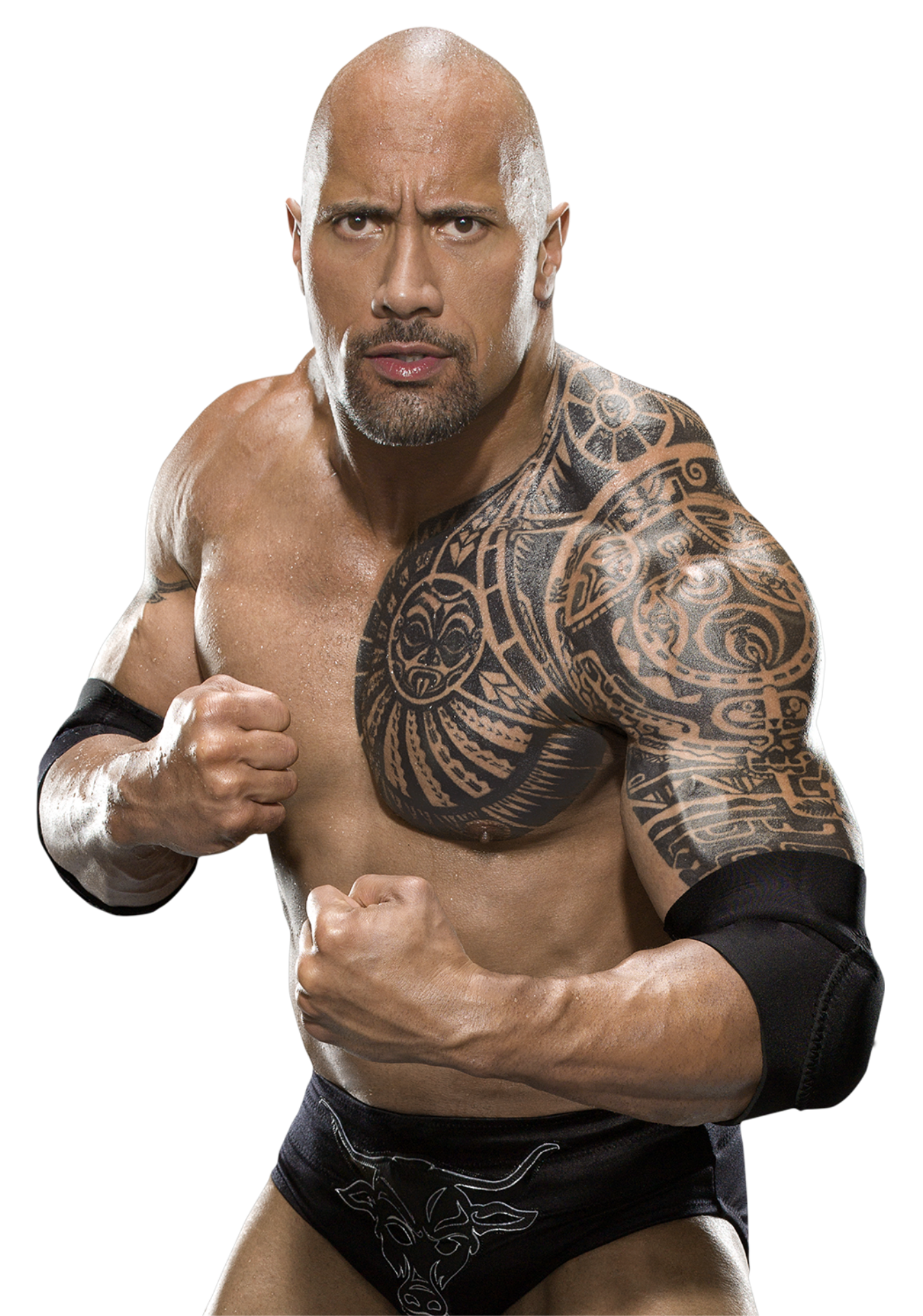 The Rock PNG Download Image