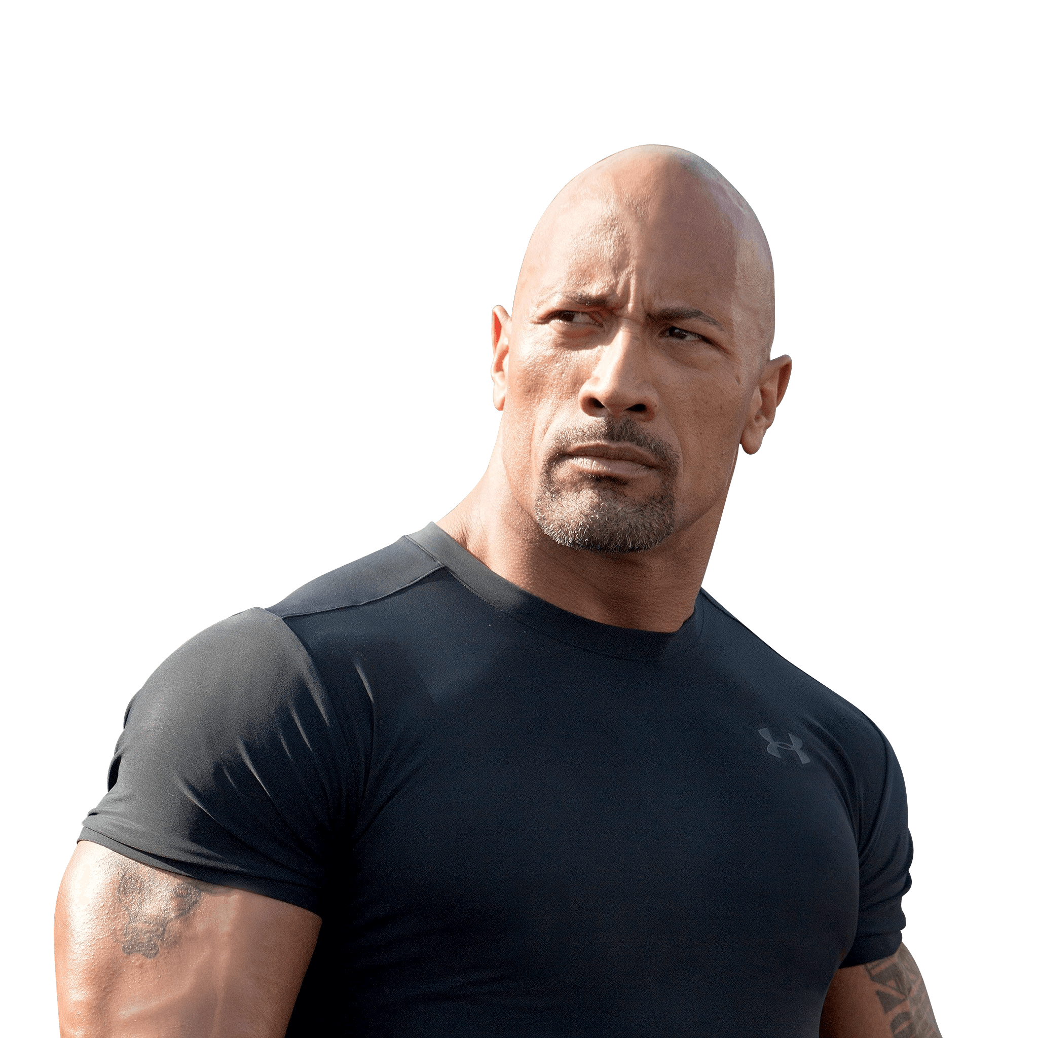 The Rock PNG Image File