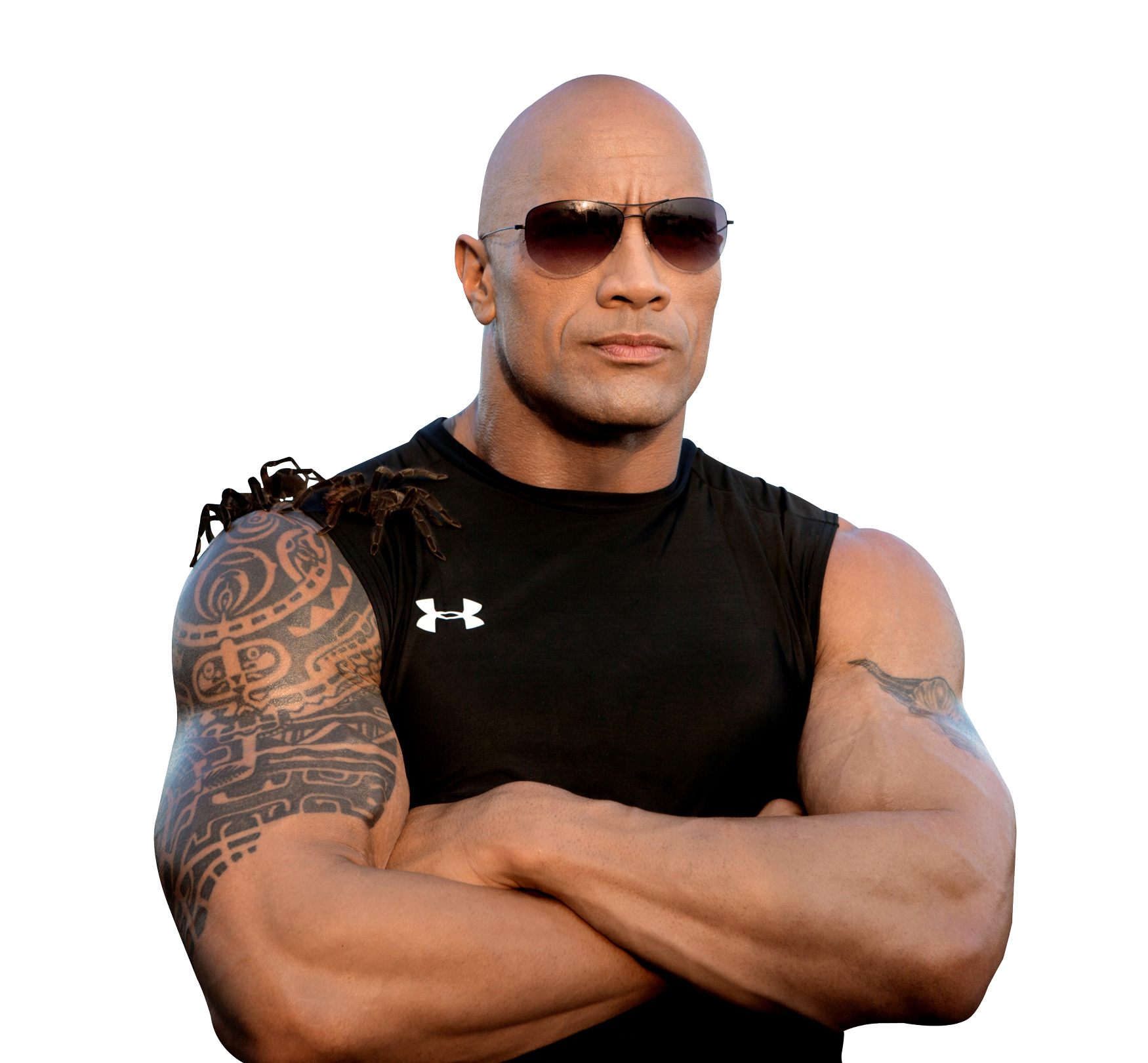 The Rock PNG Images