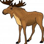 Vector Moose