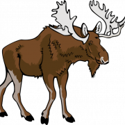 Vector Moose PNG Picture