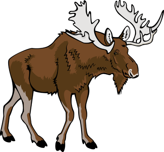 Vector Moose Png Imagen