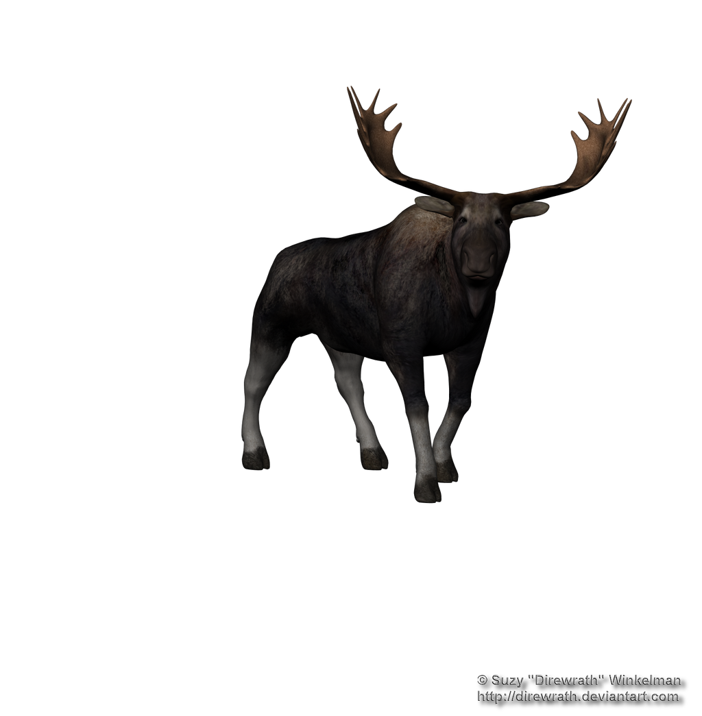 Vector Moose transparente
