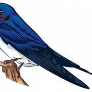 Vector Swallow PNG Free Download