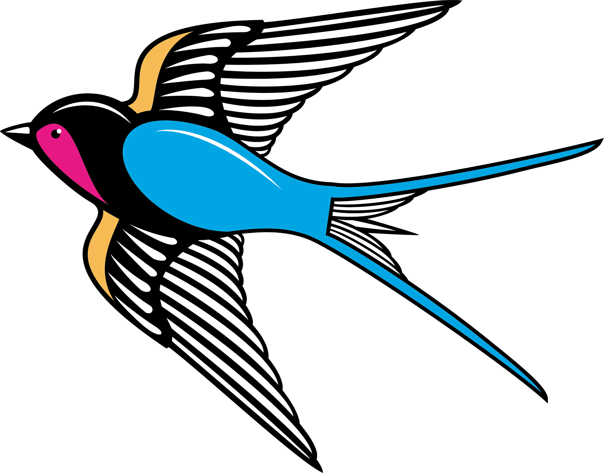 Vector Swallow PNG Picture