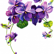 Vector violet bunga png clipart