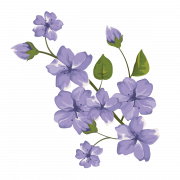 Vektör Violet Flower Png Ücretsiz İndir